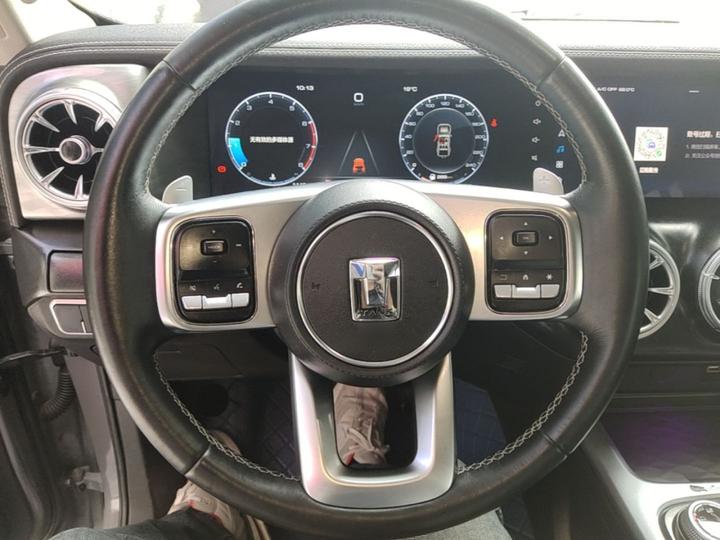 300 2021 Off-road 2.0T Conqueror photo 6