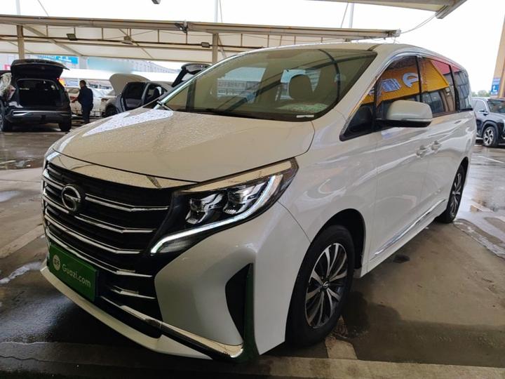 GAC Trumpchi M8 2024 Leading Series 390T Luxury