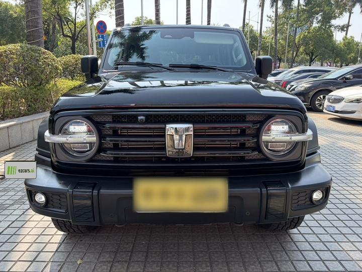 300 2021 Off-road 2.0T Conqueror photo 5