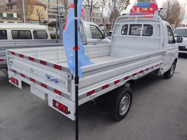 Ruichi C3 2025 Pioneer Single Cab photo 4