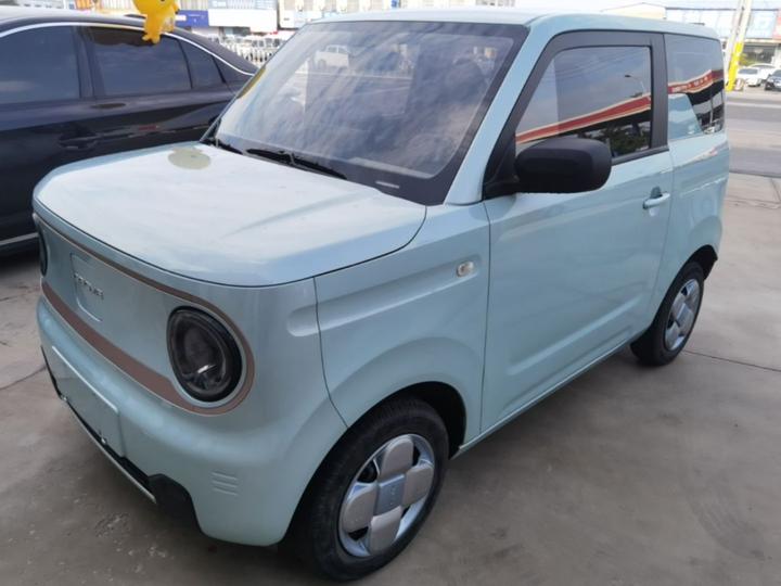 2024 Panda mini 200km Endurance Bear