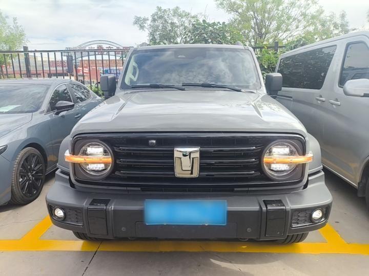 300 2024 2.0T Conqueror photo 2