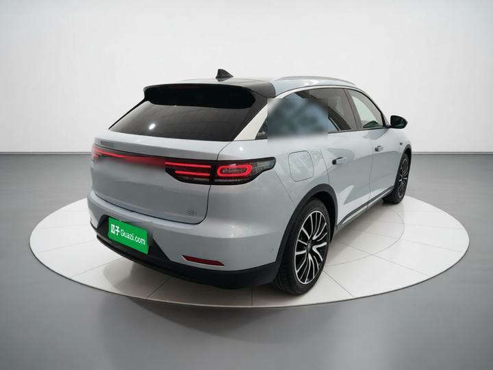 Leapmotor C11 2021 Luxury photo 6