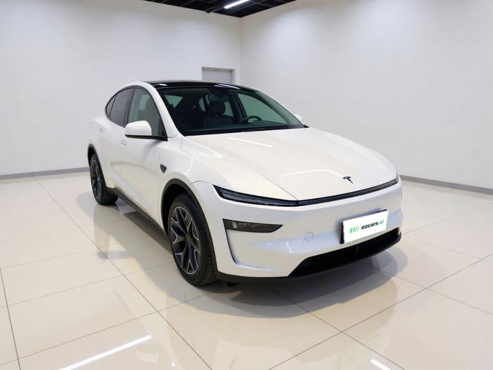 Model Y L 2025 Long Range AWD photo 3