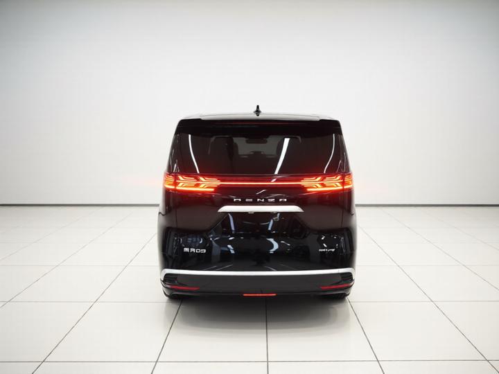 D9 2024 DM-i 980 AWD Noble photo 3