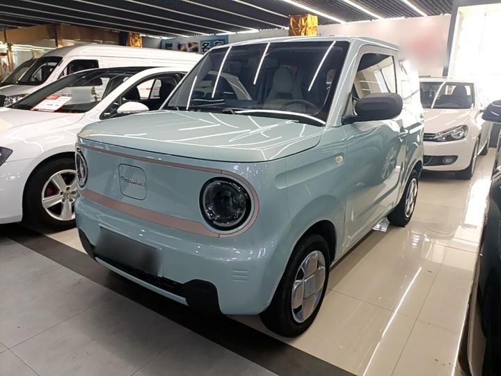 2023 Panda mini 200km Endurance Bear