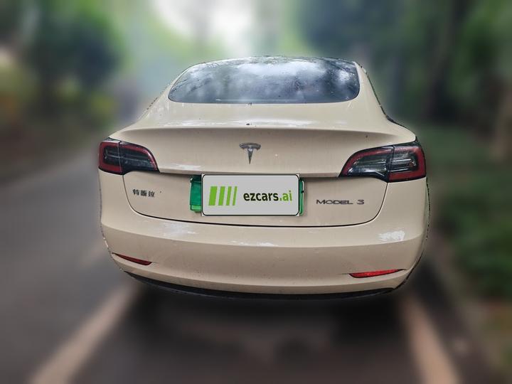 Model 3 2022 RWD photo 5