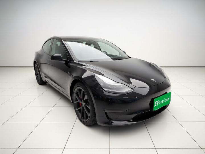 Model 3 2021 Performance AWD photo 3