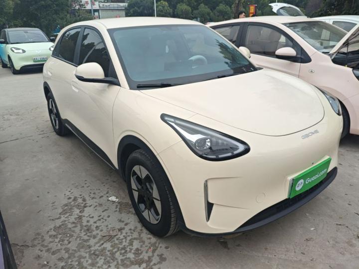 Xingyuan 2025 310km photo 3