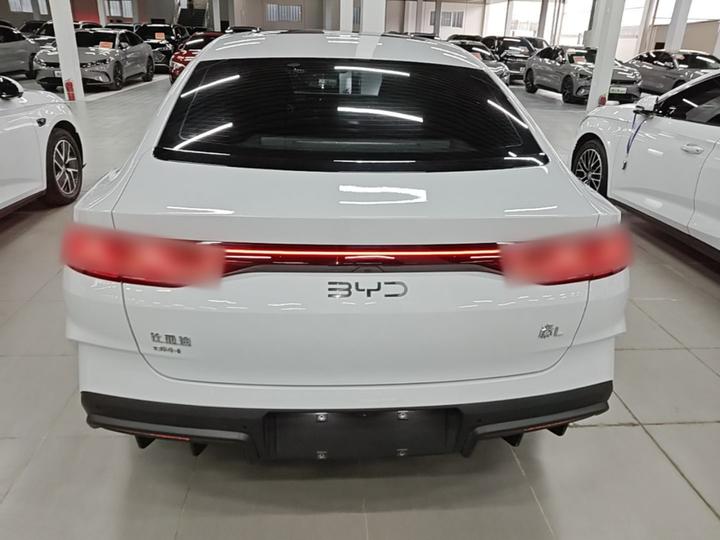 Qin L 2024 DM-i 120KM Excellence photo 3