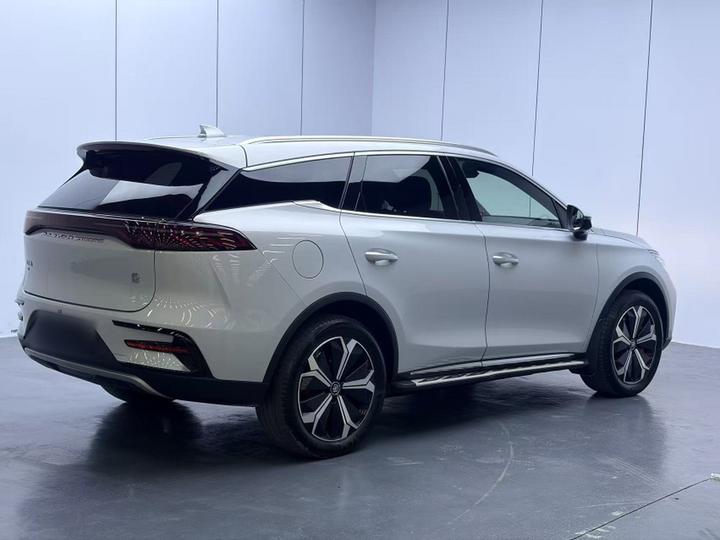 Tang EV 2024 EV Honor 600KM Exclusive photo 6