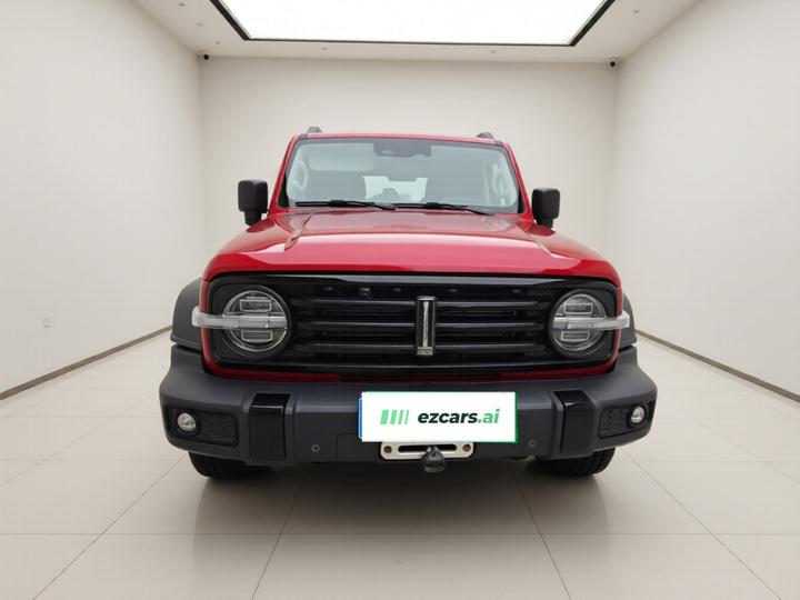 300 2021 Off-road 2.0T Conqueror photo 2