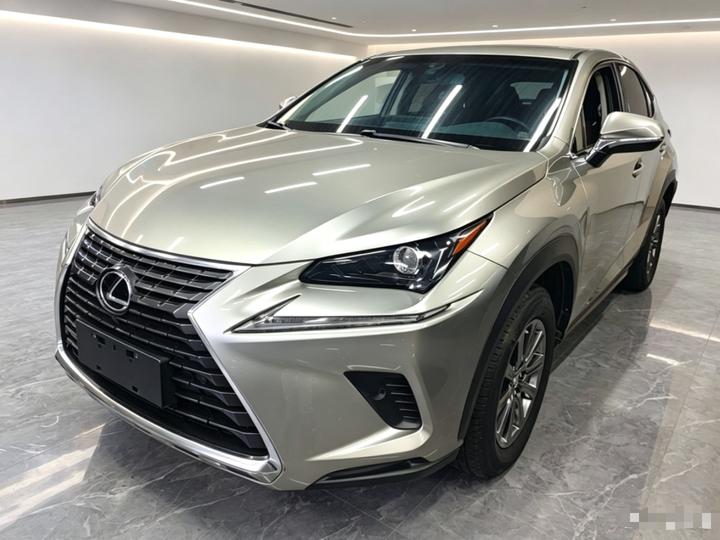 NX 2017 300 FWD