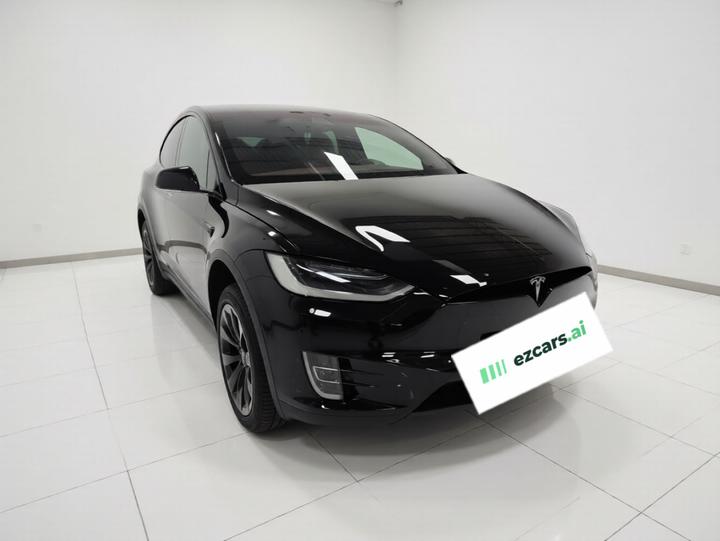 Model X 2019 Performance Performance photo 3