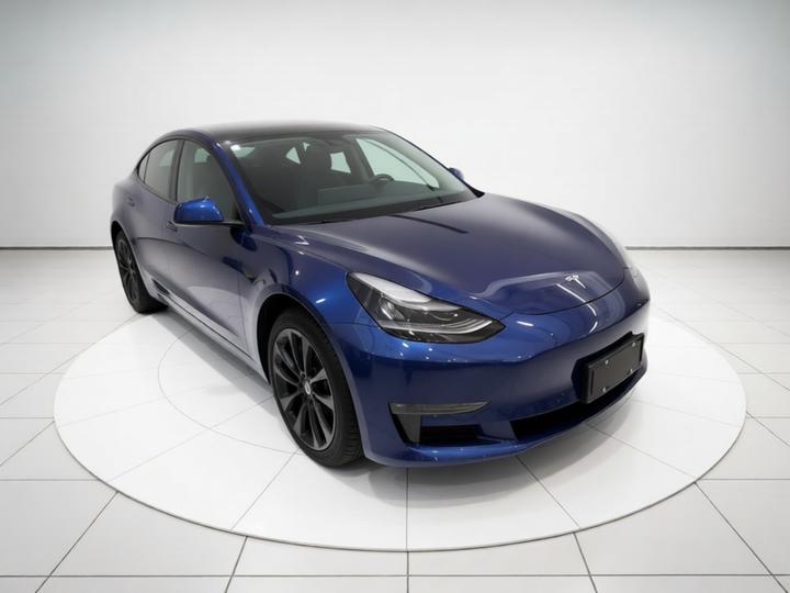 Model 3 Imported 2019 Long Range RWD photo 3