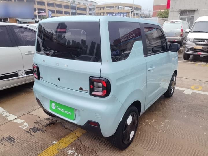 2023 Panda mini 200km Endurance Bear photo 4