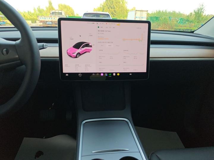 Model Y 2021 Standard Range RWD photo 8