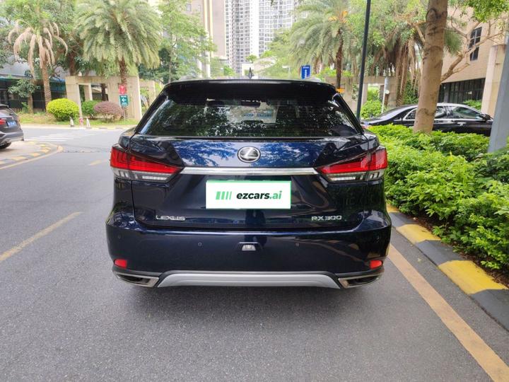 RX 2020 Facelift 300 RWD Elite photo 4