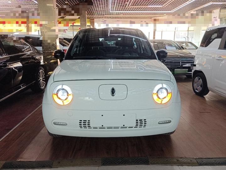 2021 351km Luxury photo 2