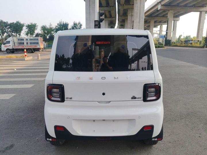 2023 Panda mini 200km Endurance Bear photo 3