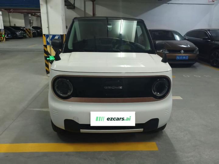 2023 Panda mini photo 2