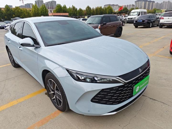 Qin L 2024 DM-i 80KM photo 3
