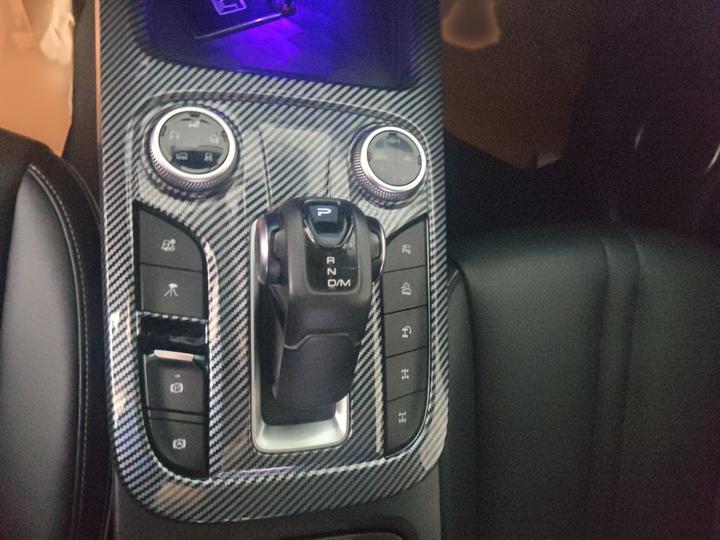 300 2021 Off-road 2.0T Conqueror photo 6