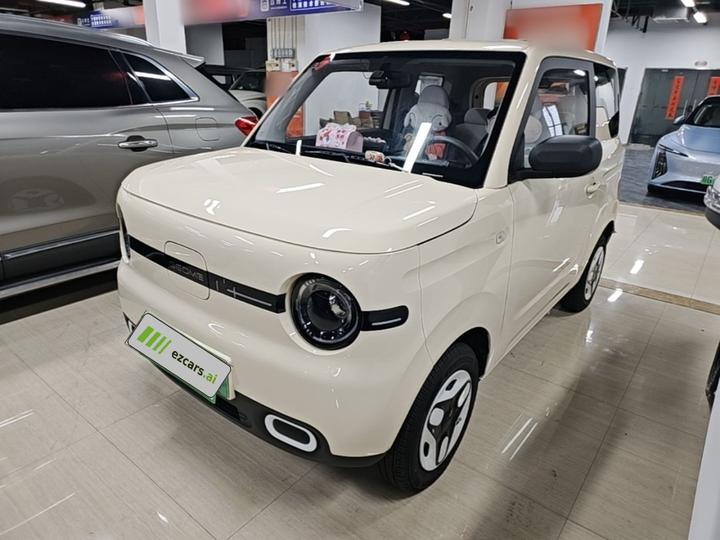 2025 Panda mini 210km Yuan