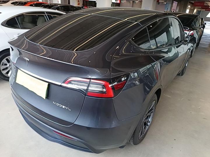 Model Y 2024 RWD photo 6