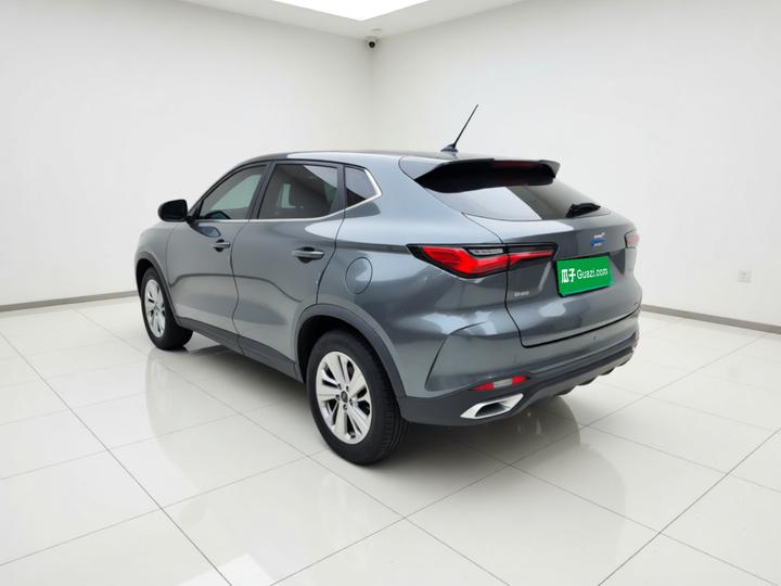 X5 2021 1.6L CVT Luxury photo 4