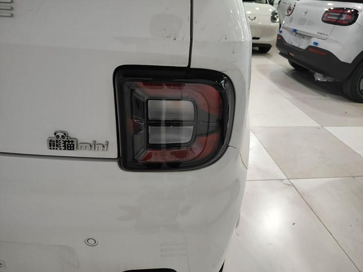 2024 Panda mini 200km Endurance Bear photo 7