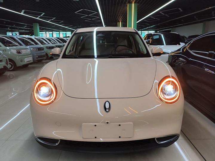 Good Cat 2023 401km Standard Range Luxury LFP photo 2