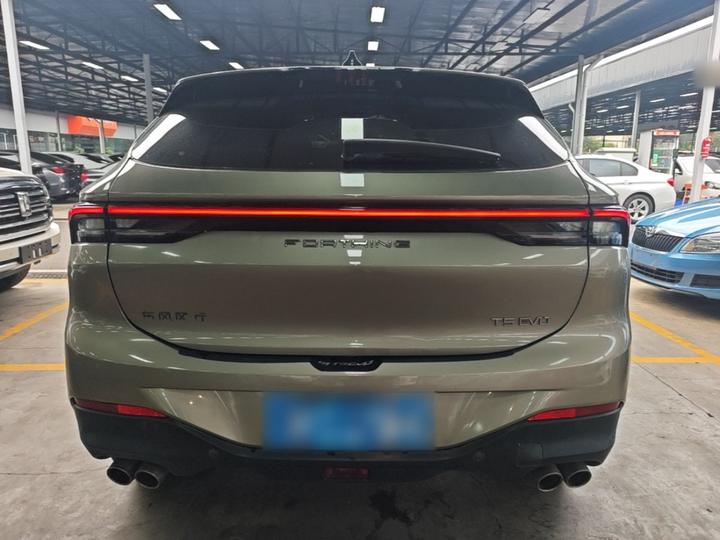 Forthing T5 EVO 2021 1.5TD DCT photo 5