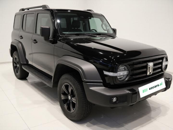 300 2023 Off-road 2.0T Conqueror photo 3