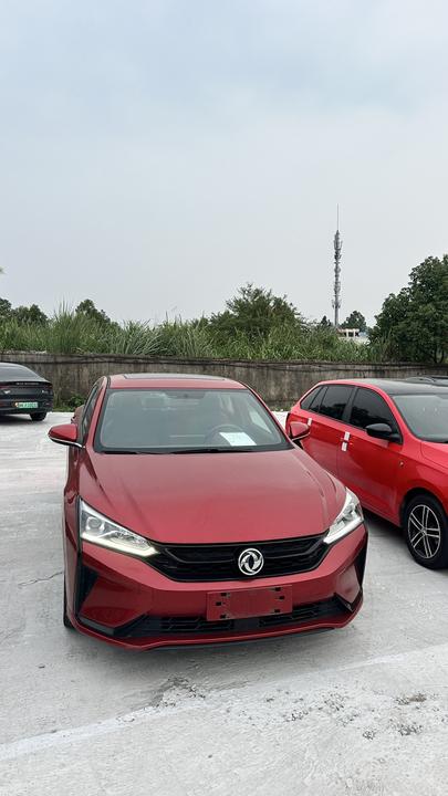 Yixuan 2020 230T AT photo 4