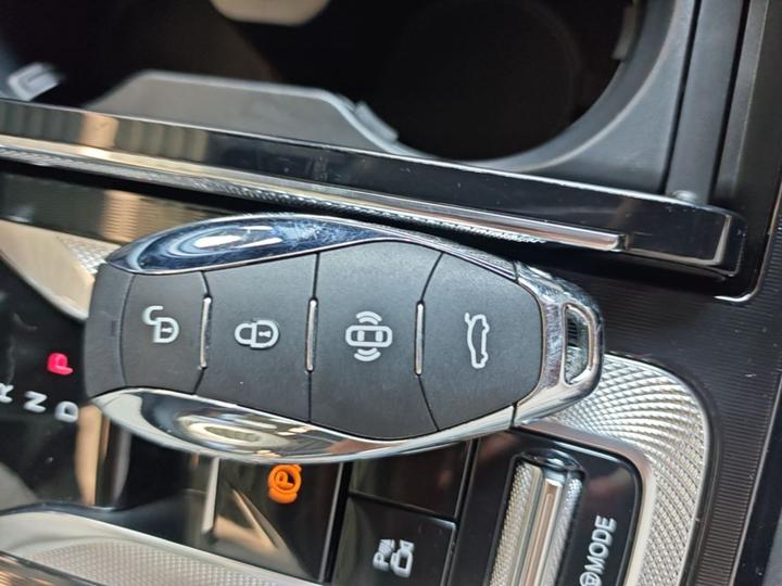 H5 PHEV 2025 170 photo 8
