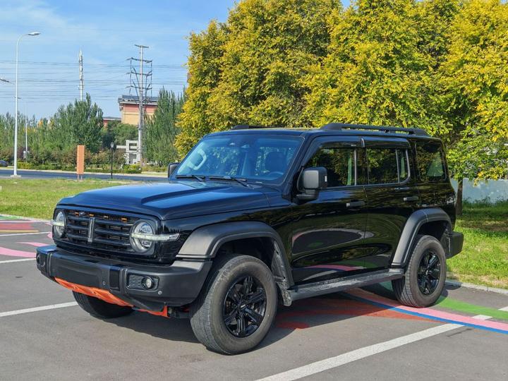 300 2021 Off-road 2.0T