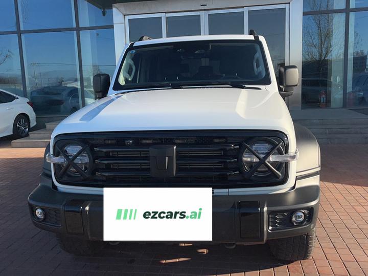 300 2023 Off-road 2.0T Conqueror photo 2