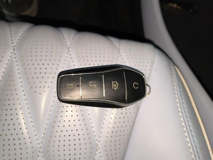 Seal 2022 550km Standard Range RWD Premium photo 8