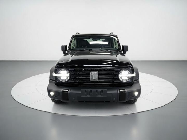 300 2021 Off-road 2.0T photo 2