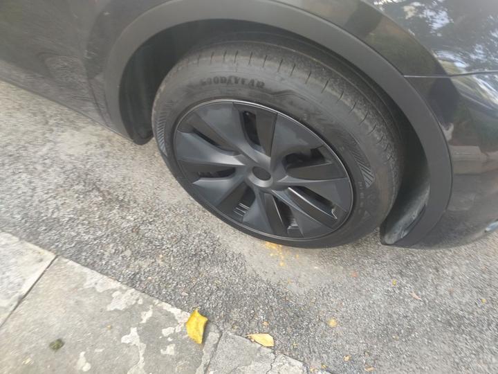 Model Y 2024 RWD photo 8