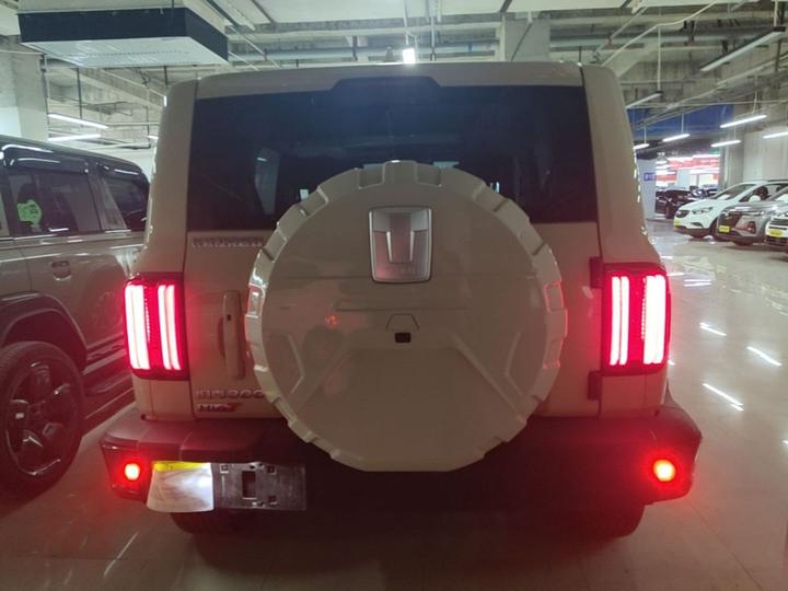 300 EV 2024 Hi4-T photo 5