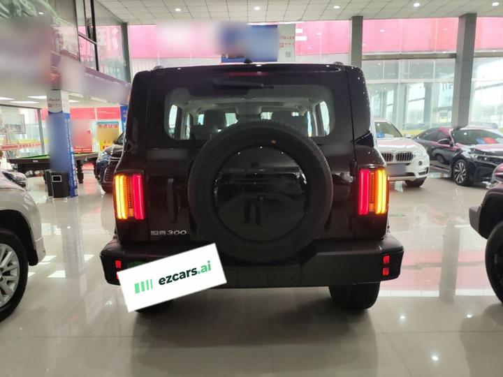 300 2024 2.0T photo 5