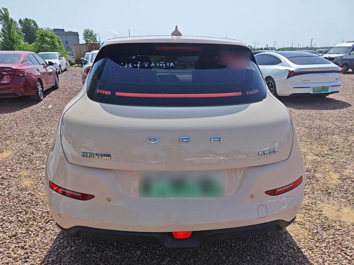 Good Cat 2024 401km Luxury photo 3