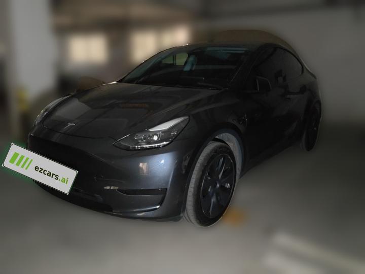 Model Y 2024 RWD