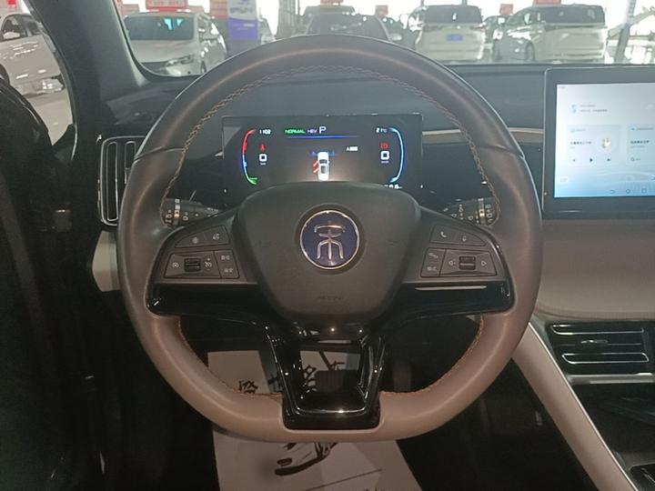 Song Pro EV 2024 Honor DM-i 71KM Pilot photo 6