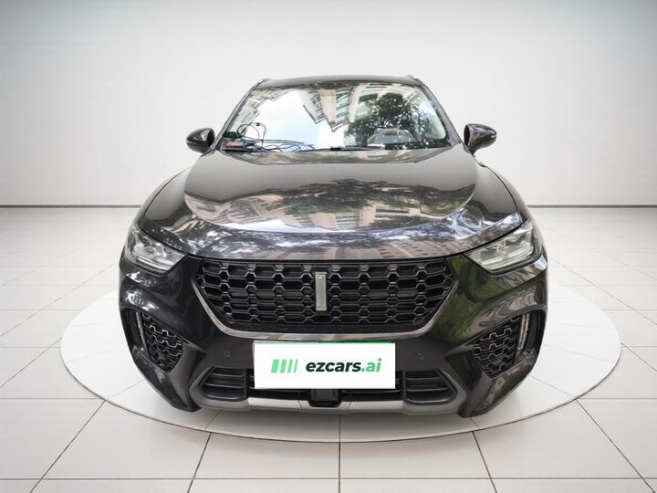 VV5 2019 Upgraded 2.0T RWD China VI photo 2
