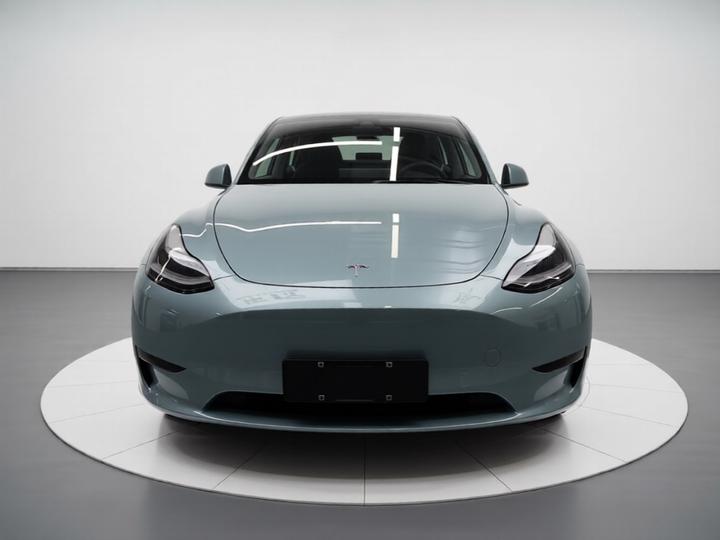 Model Y 2021 Standard Range RWD photo 2