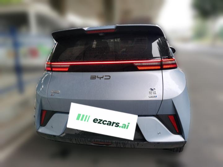 Seagull 2025 ADAS 305km photo 5