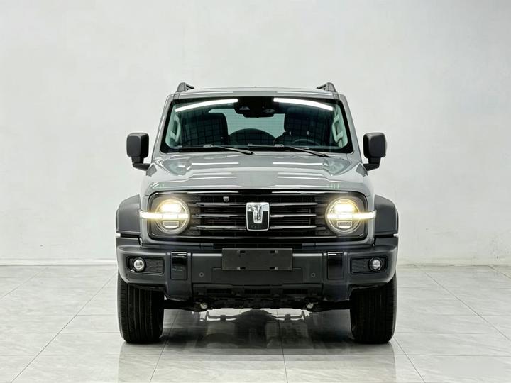 300 2021 Off-road 2.0T Conqueror photo 2